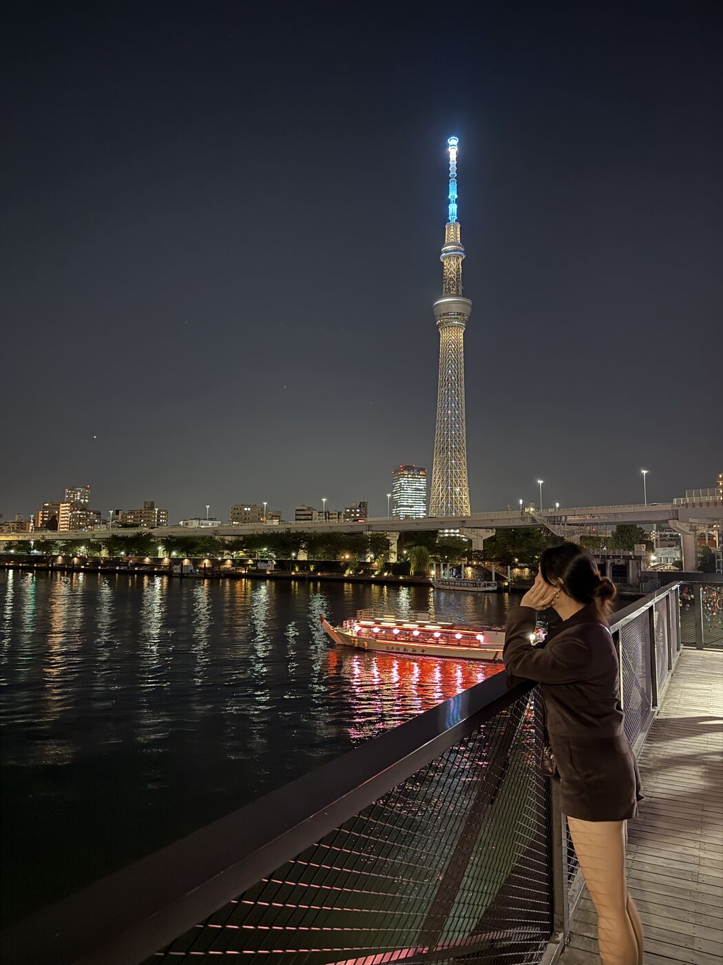 Tokyo Skytree after dark